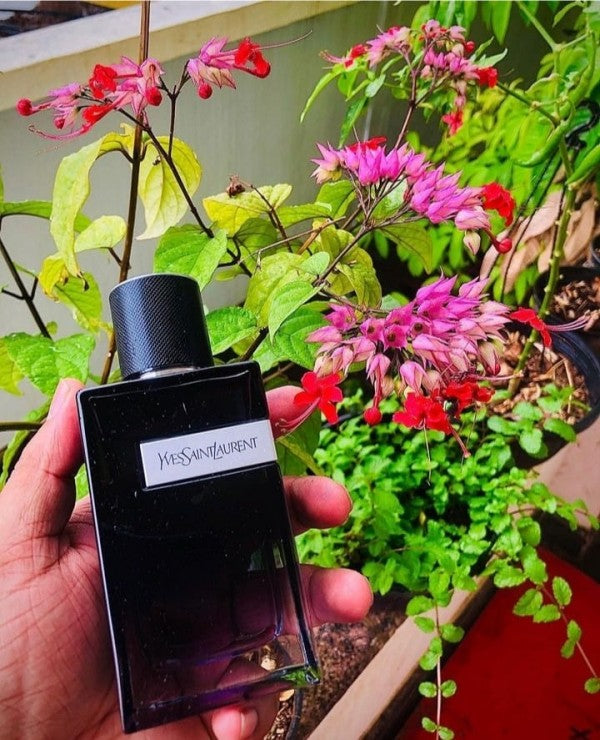 YSL LE PARFUME FULL BLACK