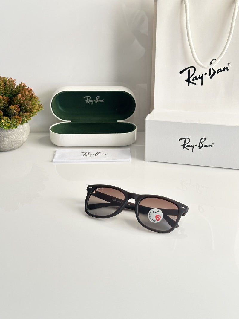 Rayban 4391 Brown