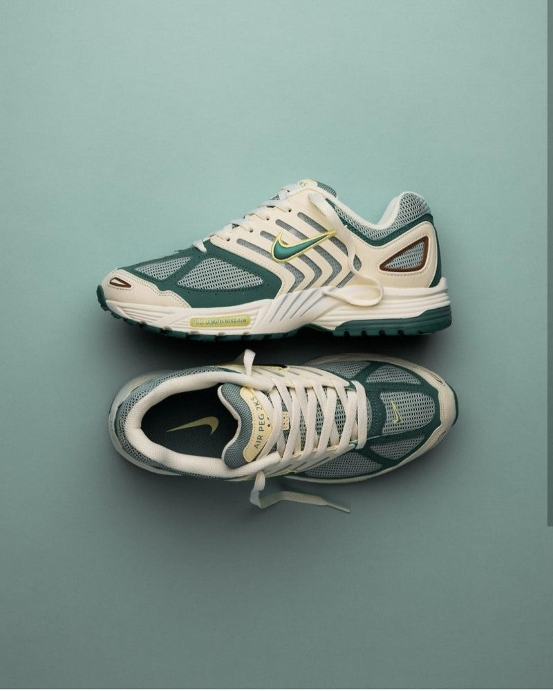 Nikee Air Pegasus 2005 bicoastal(169