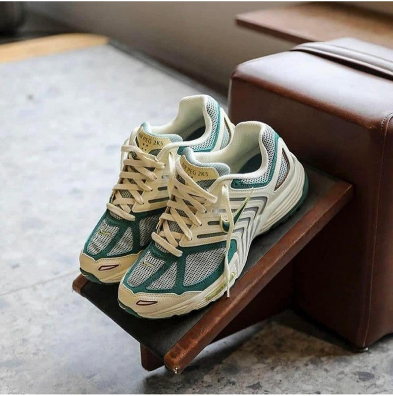 Nikee Air Pegasus 2005 bicoastal(169