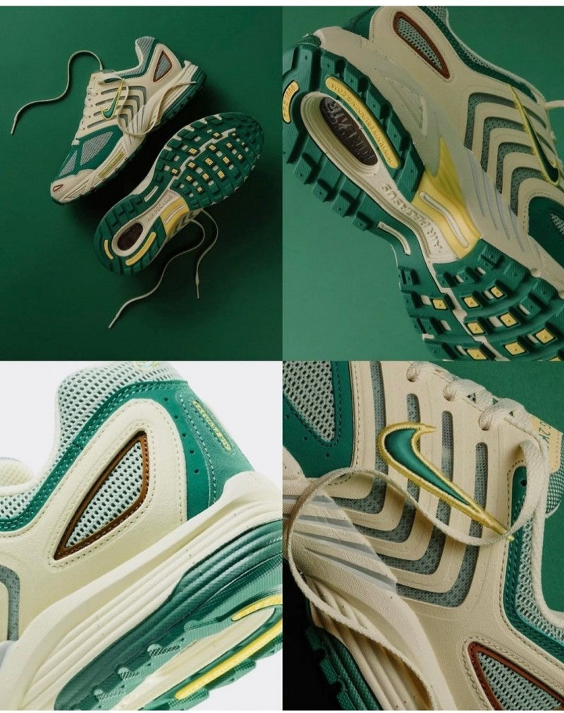 Nikee Air Pegasus 2005 bicoastal(169