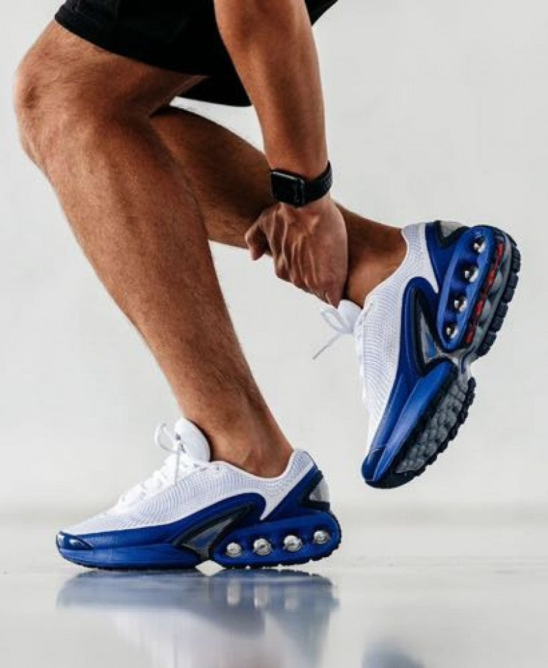 Nikee Airmax DN Royal Platinum