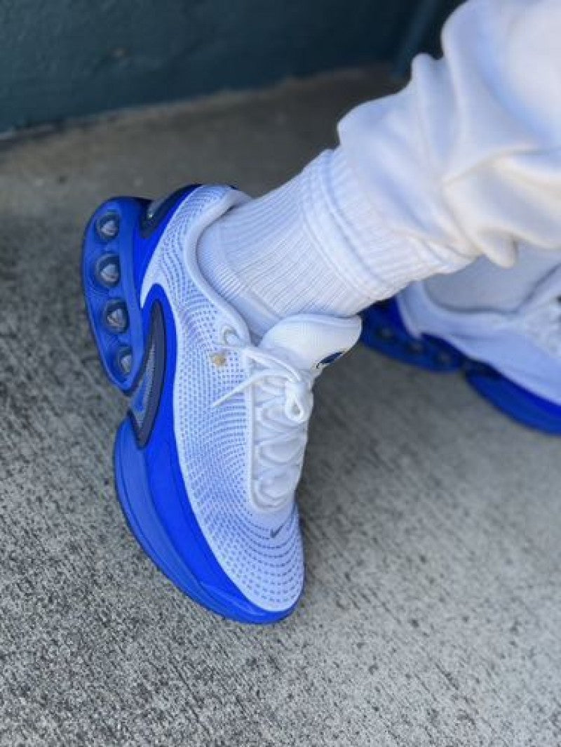 Nikee Airmax DN Royal Platinum