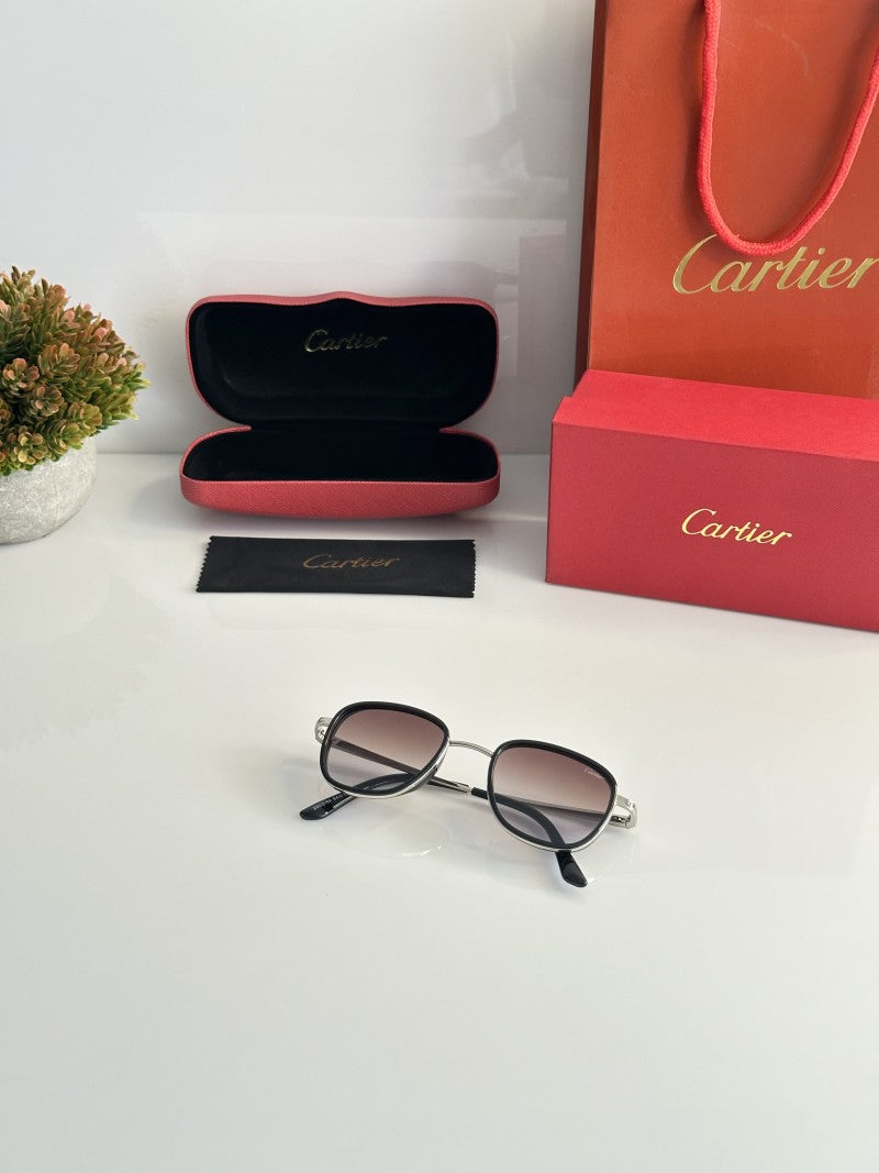 Cartier 2802 Silver Brown DC