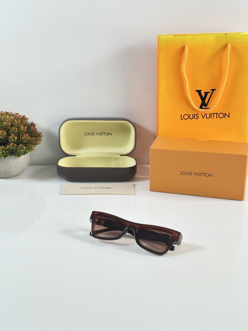 Louis Vuitton 6008 Brown