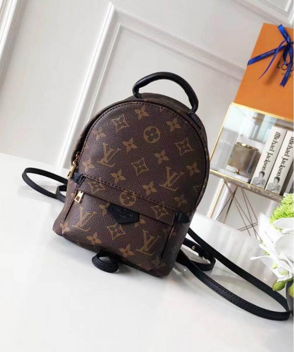 Louis Vuitton Palm Springs Mini Backpack For Her With OG Box & Dust Bag M44873