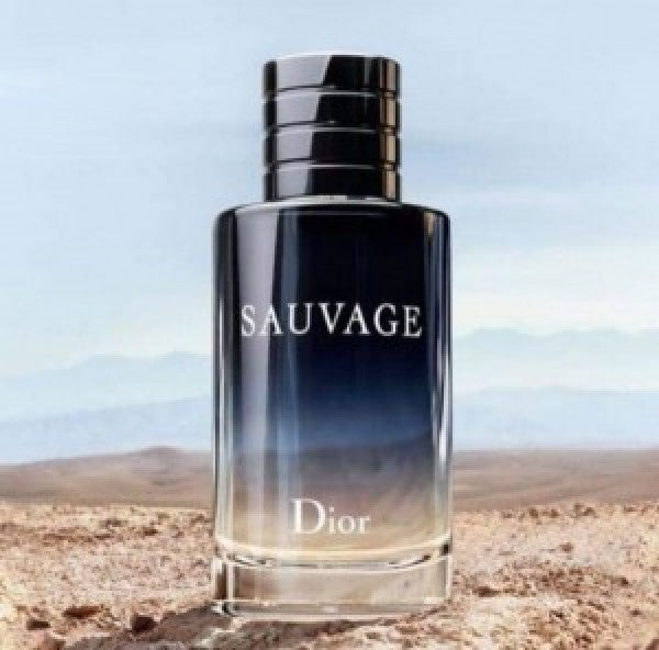 Sauvage Dior EAU DE Perfume 100ML (166)