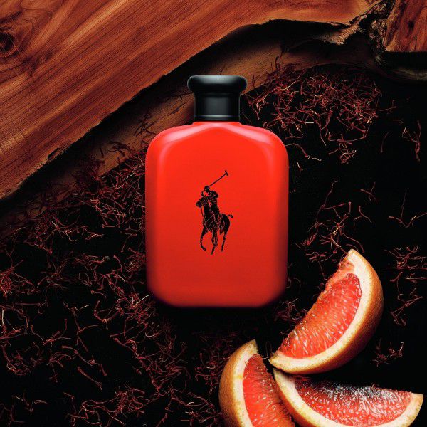 Polo Red Ralph Lauren 100ML 292