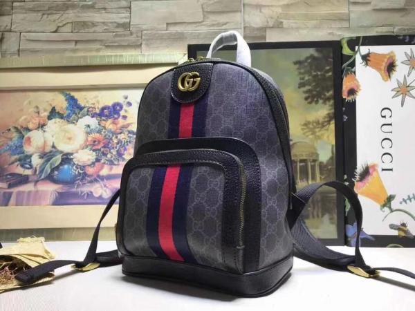Gucci GG small backpack with dust bag