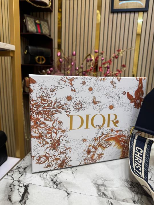 Christian Dior Saddle CD With Box And Dust Bag Including CarryBag (Blue)