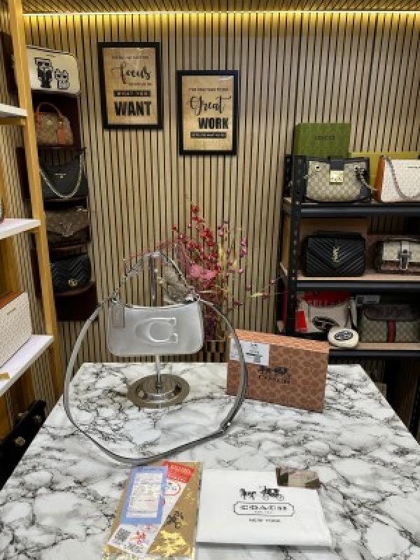 Coach Teri Shoulder Bag With Box And Dust Bag (Silver)