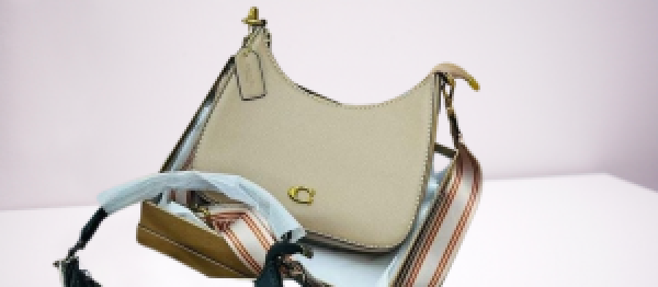 Coach womens hobo bag with brand box 5312