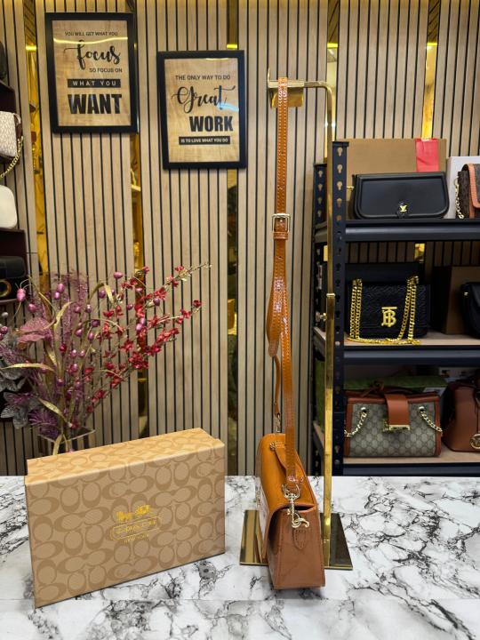 Coach Hailey Bold Signature Crossbody Bag With Box And Dust Bag (Brown)