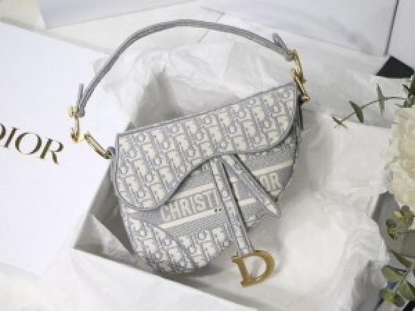 Christian Dior Saddle Grey Bag With Box Bill Dust Bag & Sling Belt carrybag 554