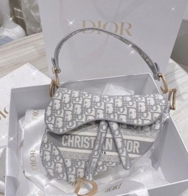 Christian Dior Saddle Grey Bag With Box Bill Dust Bag & Sling Belt carrybag 554