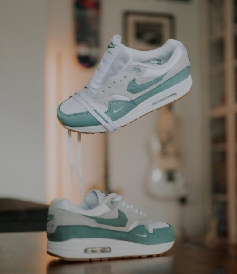 Nik.e Airmax 1 swoosh low poly 224