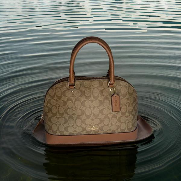 coach alma sling bag with box dustbag 5461