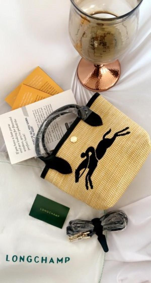 Long Champ OG Aunthentic Bags with carrybag 5193