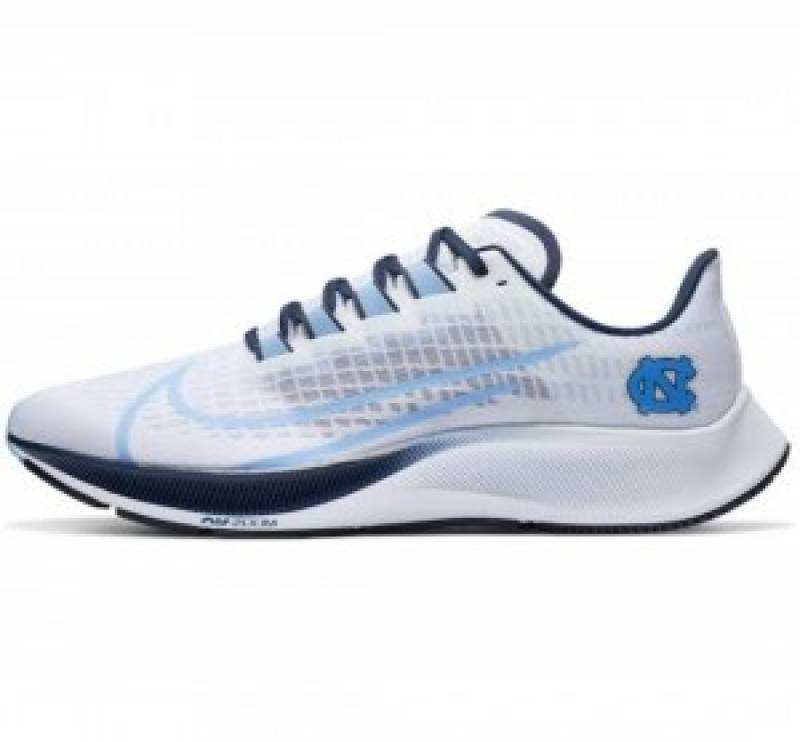 Nike Pegasus 37