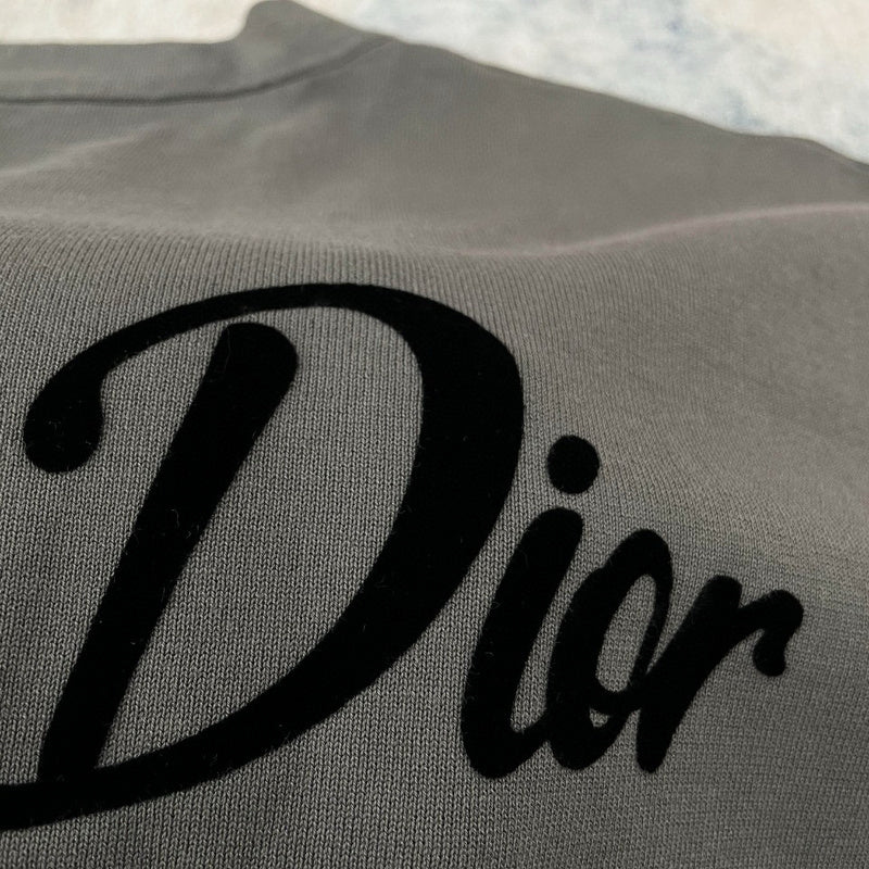 Dior T-shirt 050112