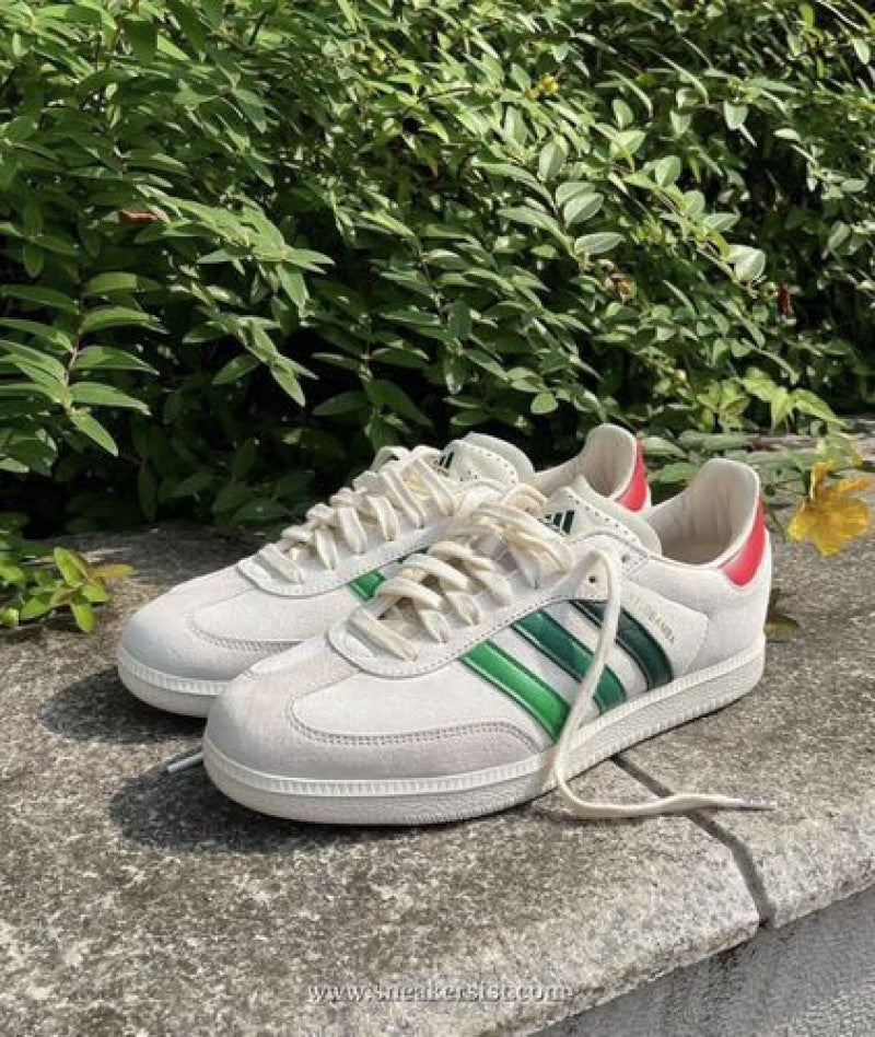 velosamba x end social cyclist green