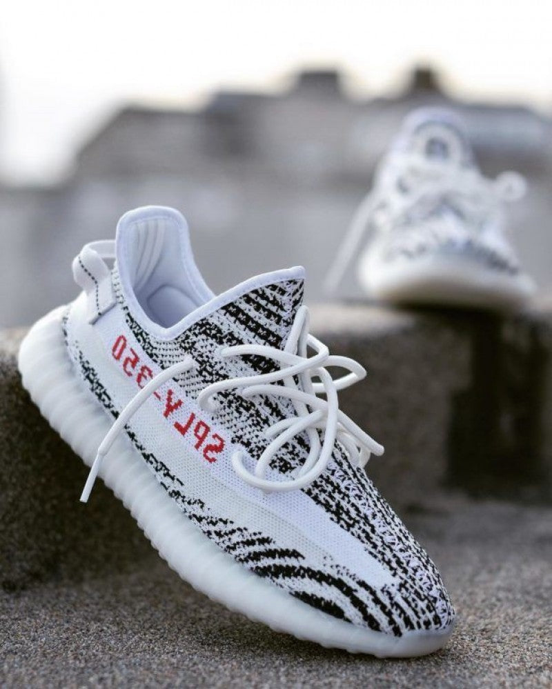 Yeezy 350 Zebra 13