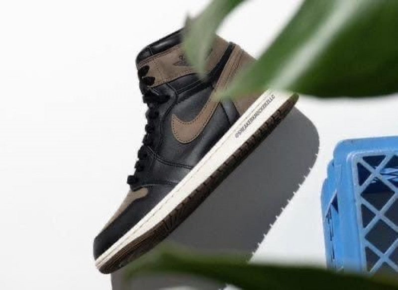 Air Jordan Retro 1 High Palomino 097