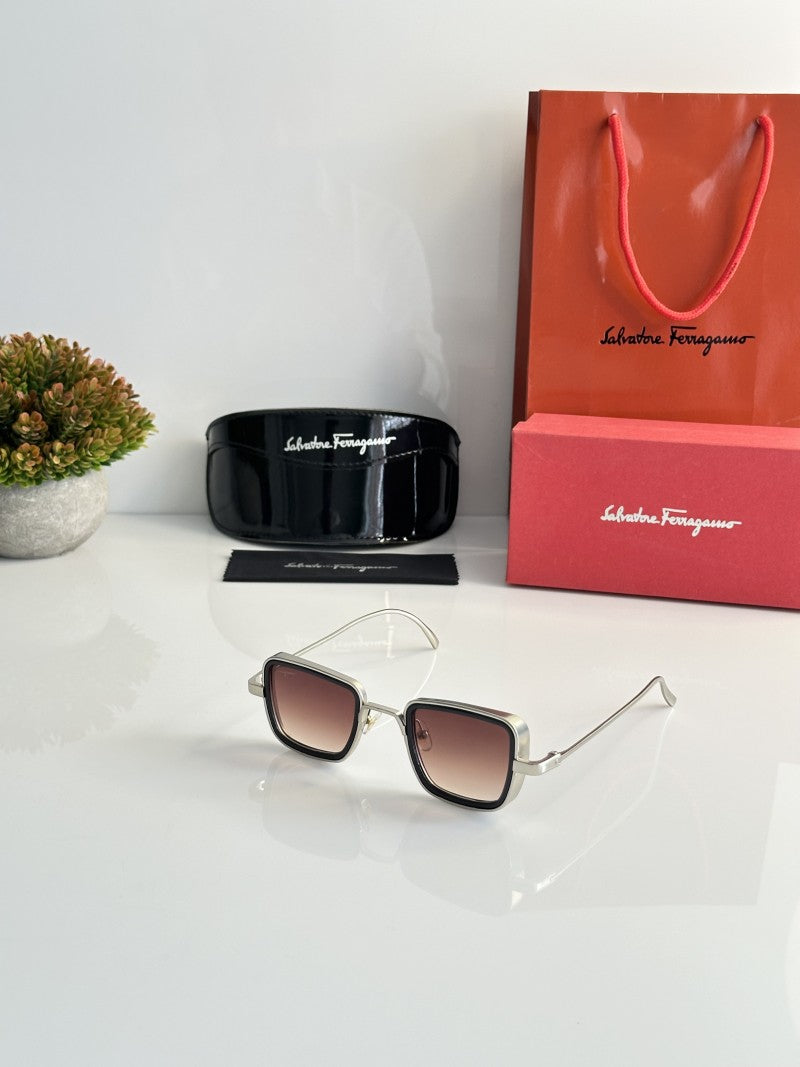 Salvatore Ferragamo 3919 Silver Brown Dc