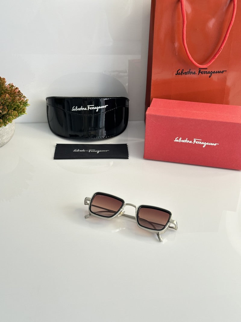 Salvatore Ferragamo 3919 Silver Brown Dc
