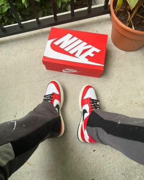 NIKE SB DUNK LOW CHICAGO SPLIT RED