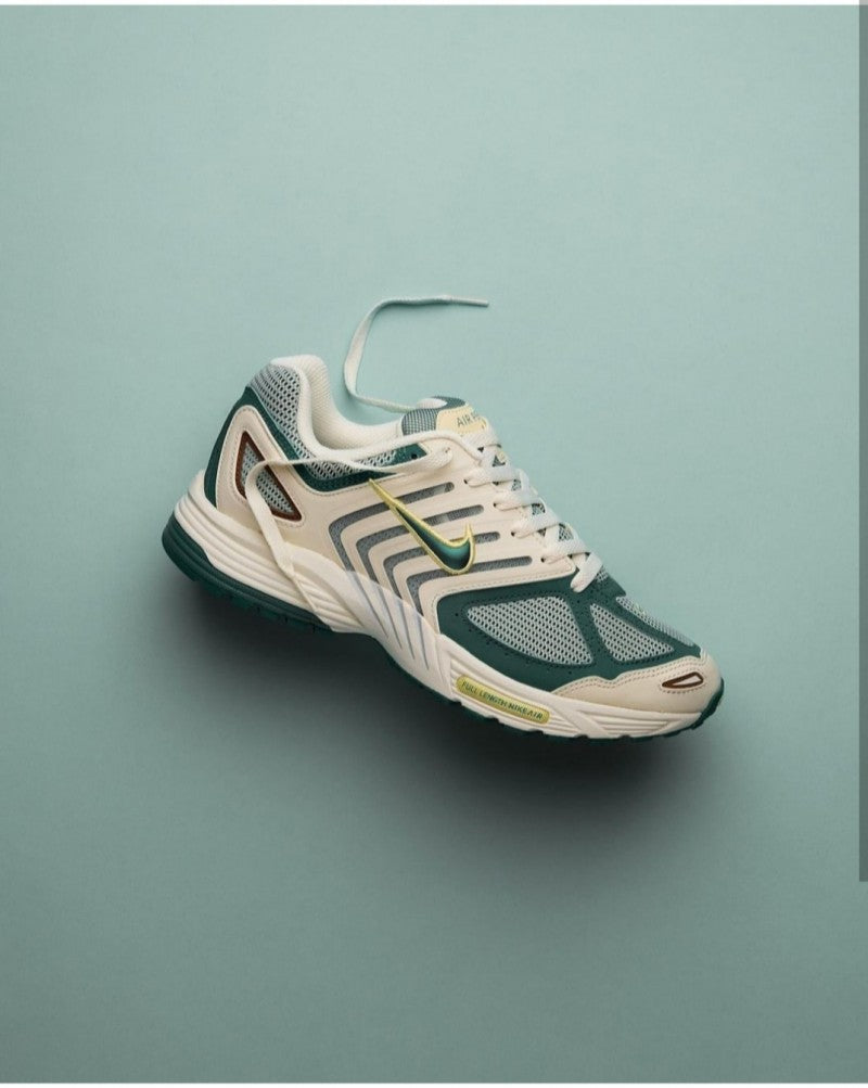 Nikee Air Pegasus 2005 bicoastal(169