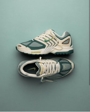 Nikee Air Pegasus 2005 bicoastal(169