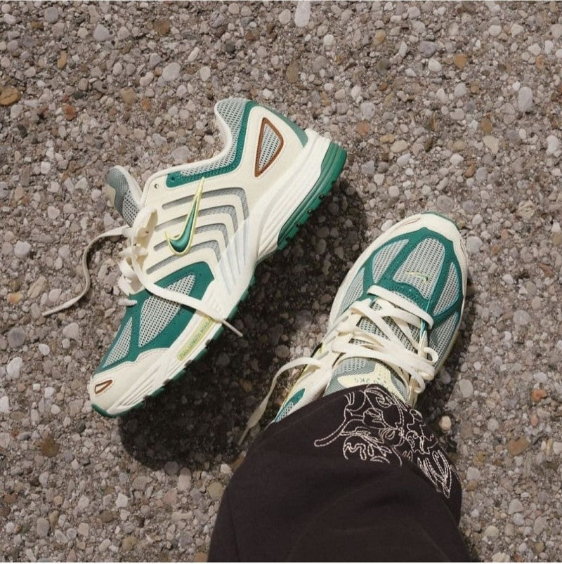 Nikee Air Pegasus 2005 bicoastal(169