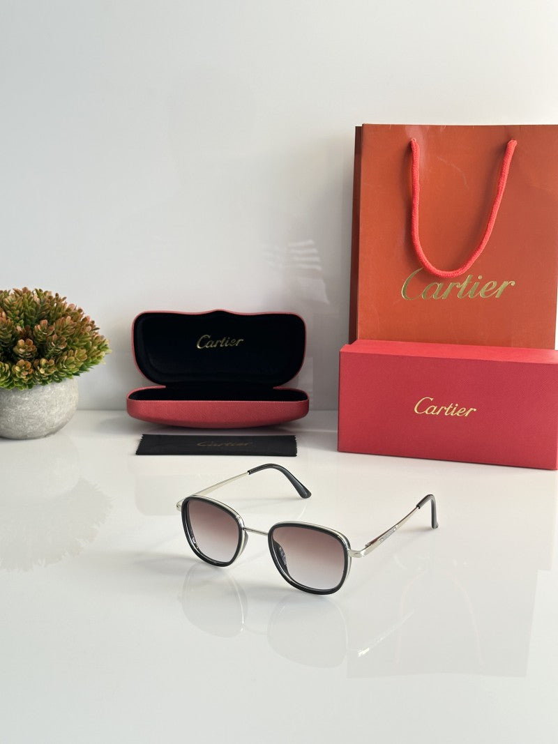Cartier 2802 Silver Brown DC