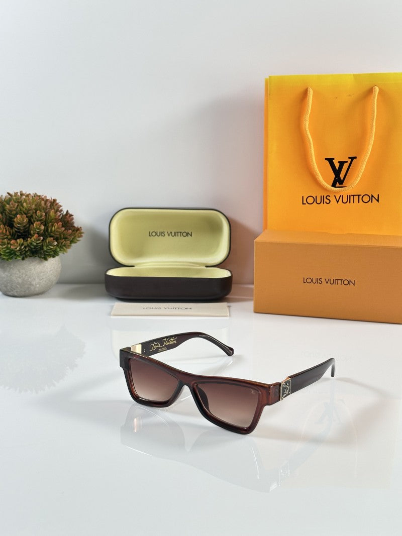Louis Vuitton 6008 Brown