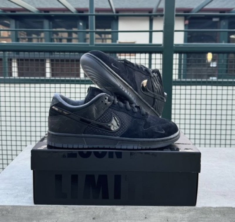 Nik Esb dunk low duck of the feather black university