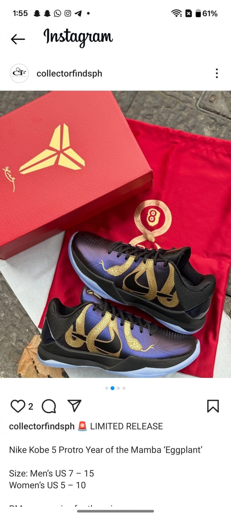 kobe 5 protro year of the mamba eggplant