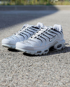Nik ee AirMax Plus Wolf Grey 101