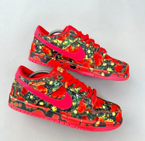 Nikee sb dunk low the wizard of oz poppy field