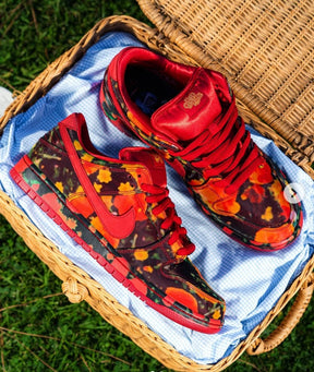 Nikee sb dunk low the wizard of oz poppy field