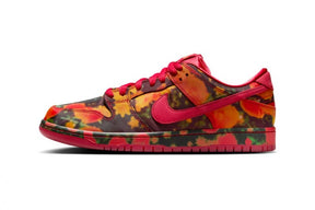 Nikee sb dunk low the wizard of oz poppy field