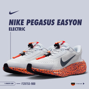 Nik.e Zoom pegasus easyon electric