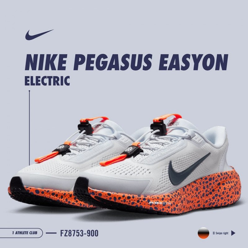 Nik.e Zoom pegasus easyon electric
