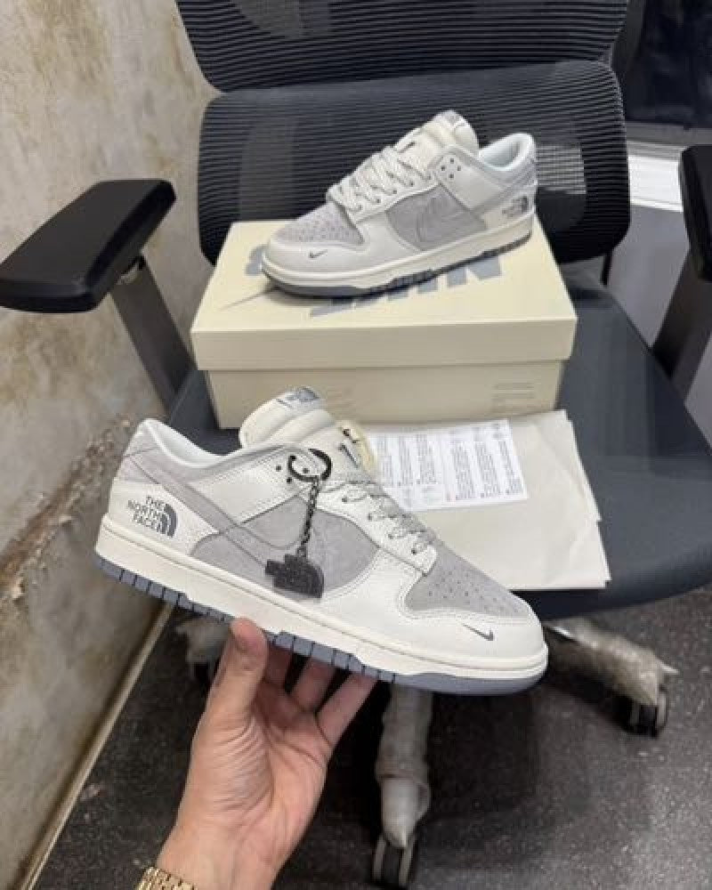 Nik ee SB Dunk Low X North Face 2025