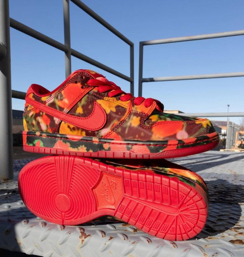 Nikee SB Dunk Low X The Wizard Of OZ Poppy Filed 693