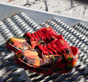 Nikee SB Dunk Low X The Wizard Of OZ Poppy Filed 693