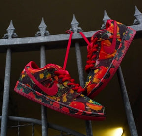 Nikee SB Dunk Low X The Wizard Of OZ Poppy Filed 693