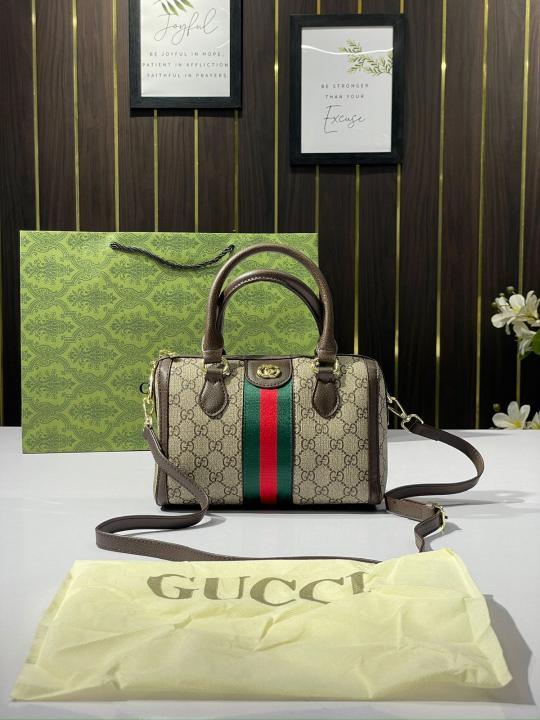 Gucci  speedy  mini  bag  with  dust  and  carry  bag(866)