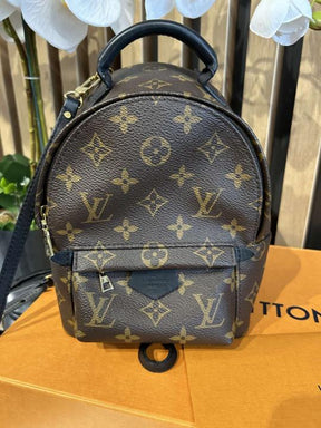 Louis  Vuitton  Palm  Springs  Mini  Backpack  For  Her  With  OG  Box  &  Dust  Bag  M44873