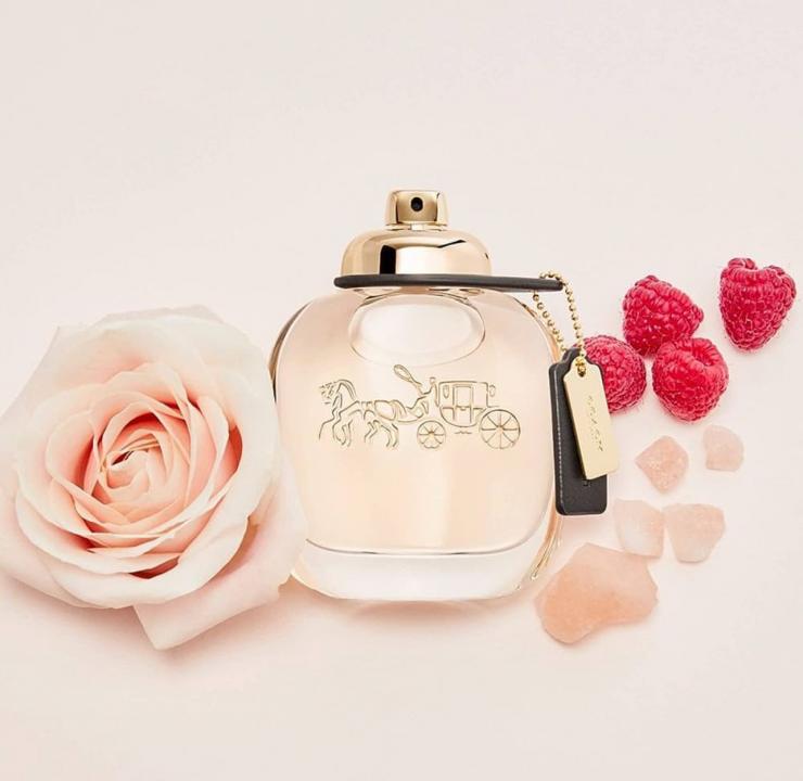 COAC H NEW YORK EDP